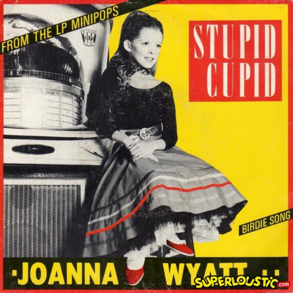 Stupid cupid - Joanna Wyatt